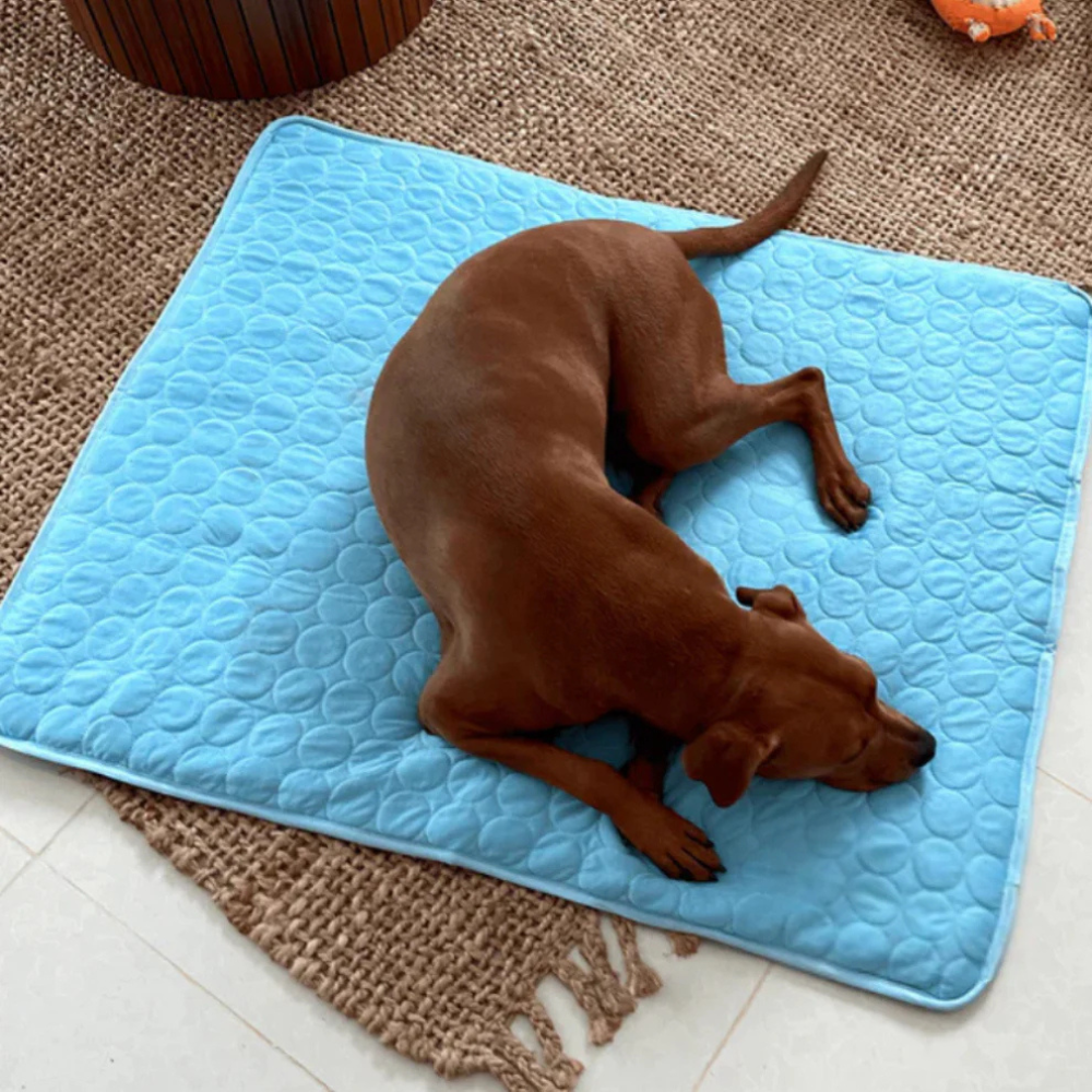 Tapis Rafraîchissant pour Chien – Respirant, Portable et Confortable – Owlikoo