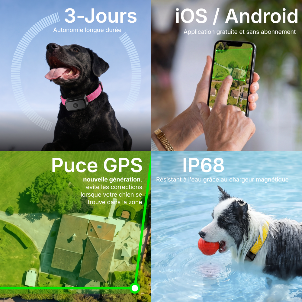 Clôture Anti-Fugue pour Chien sans Fil - Owlikoo Elite+