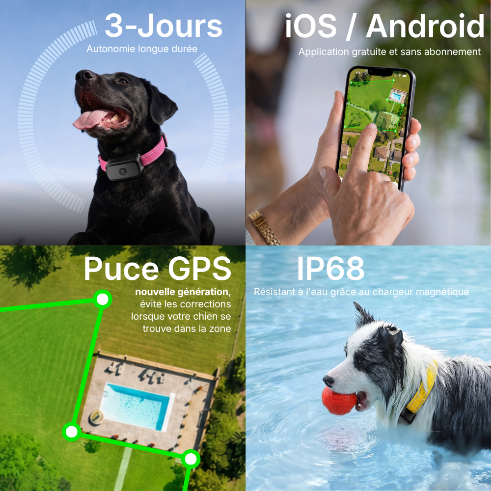 Clôture Anti-Fugue pour Chien sans Fil - Owlikoo Elite+