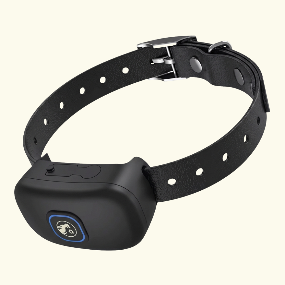 Collier Owlikoo Plus