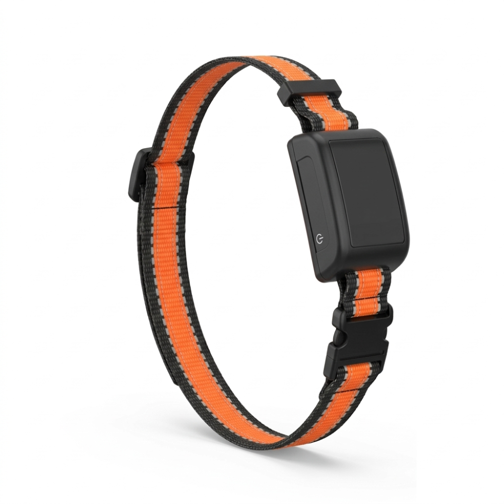 Collier pour Clôture Anti-Fugue Chien sans Fil - Owlikoo Ultra