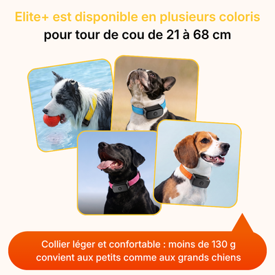 Clôture Anti-Fugue pour Chien sans Fil - Owlikoo Elite+