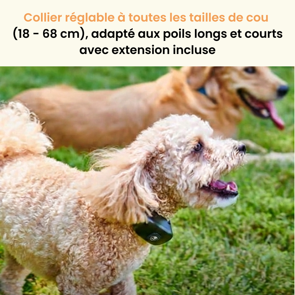Clôture Anti-Fugue pour Chien sans Fil - Owlikoo Plus