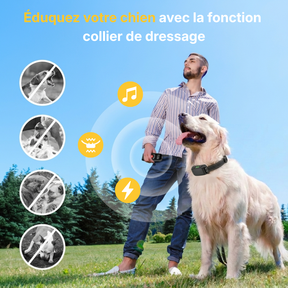 Clôture Anti-Fugue pour Chien sans Fil - Owlikoo Pro