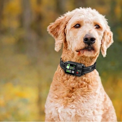 Collier Anti-Fugue pour Chien - Owlikoo