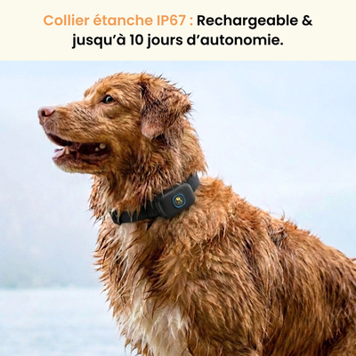 Clôture Anti-Fugue pour Chien sans Fil - Owlikoo Plus