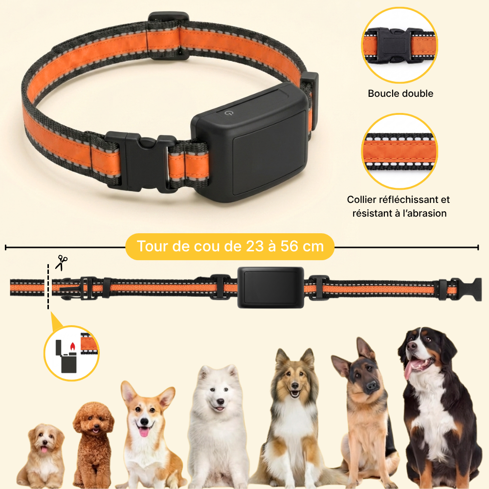 Collier pour Clôture Anti-Fugue Chien sans Fil - Owlikoo Ultra