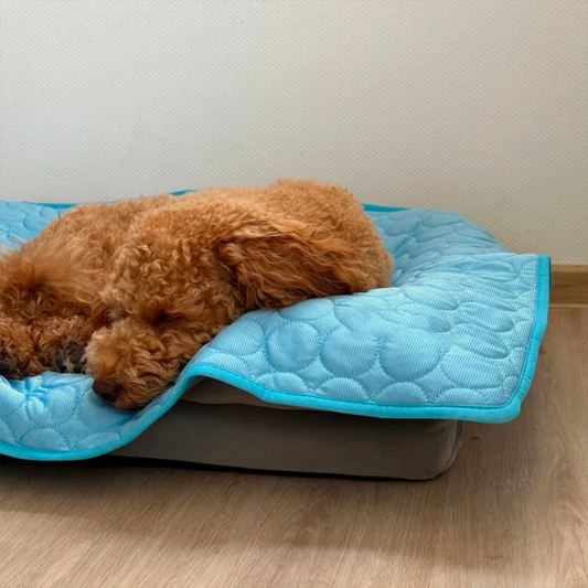 Tapis Rafraîchissant pour Chien – Respirant, Portable et Confortable – Owlikoo