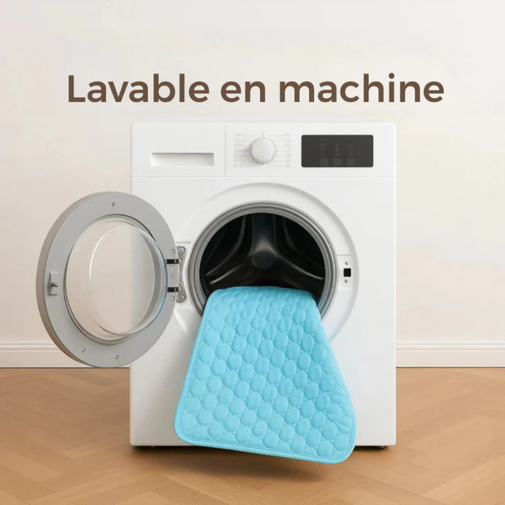 Tapis Rafraîchissant pour Chien – Respirant, Portable et Confortable – Owlikoo