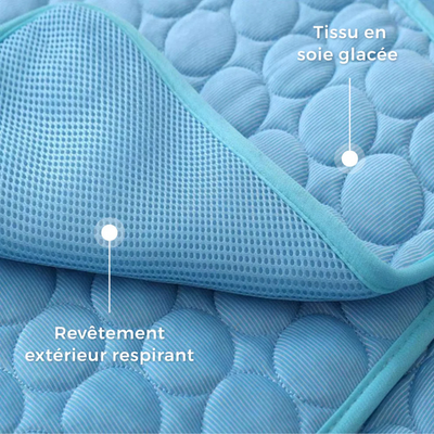 Tapis Rafraîchissant pour Chien – Respirant, Portable et Confortable – Owlikoo