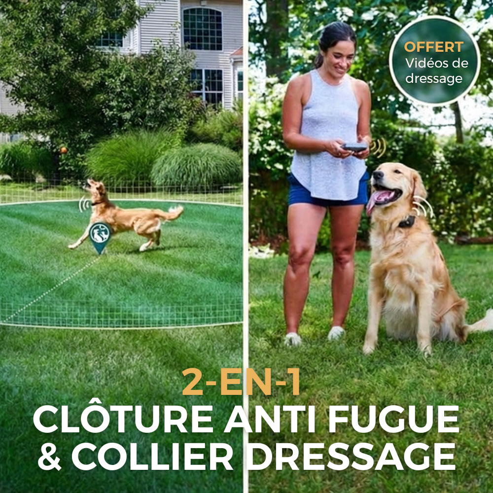 Clôture Anti-Fugue pour Chien sans Fil - Owlikoo Plus